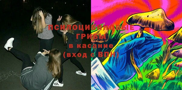 хмурый Дмитровск