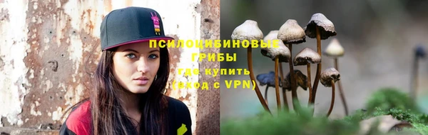 хмурый Дмитровск