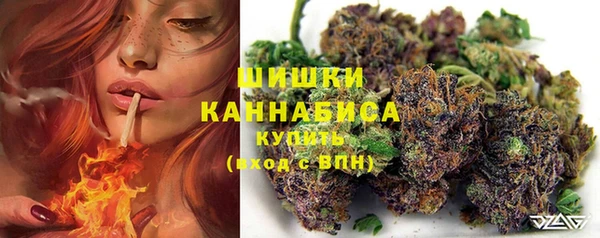 прущая мука Дмитриев
