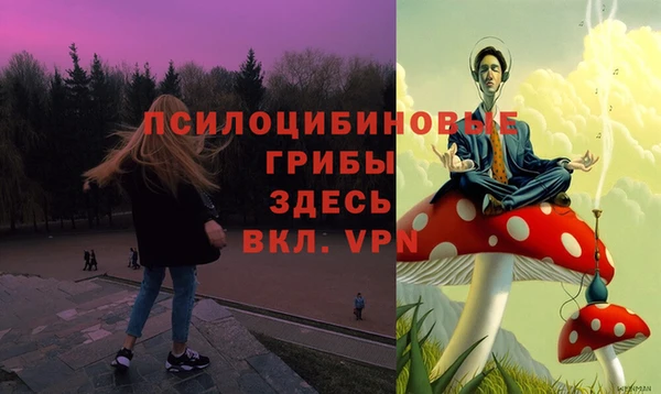 прущая мука Дмитриев