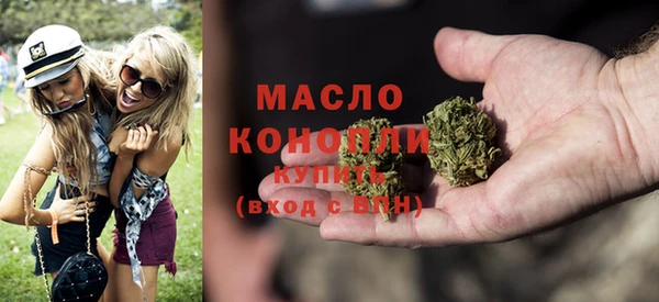 хмурый Дмитровск